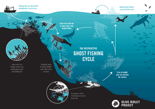 The Dangers of Ghost Nets